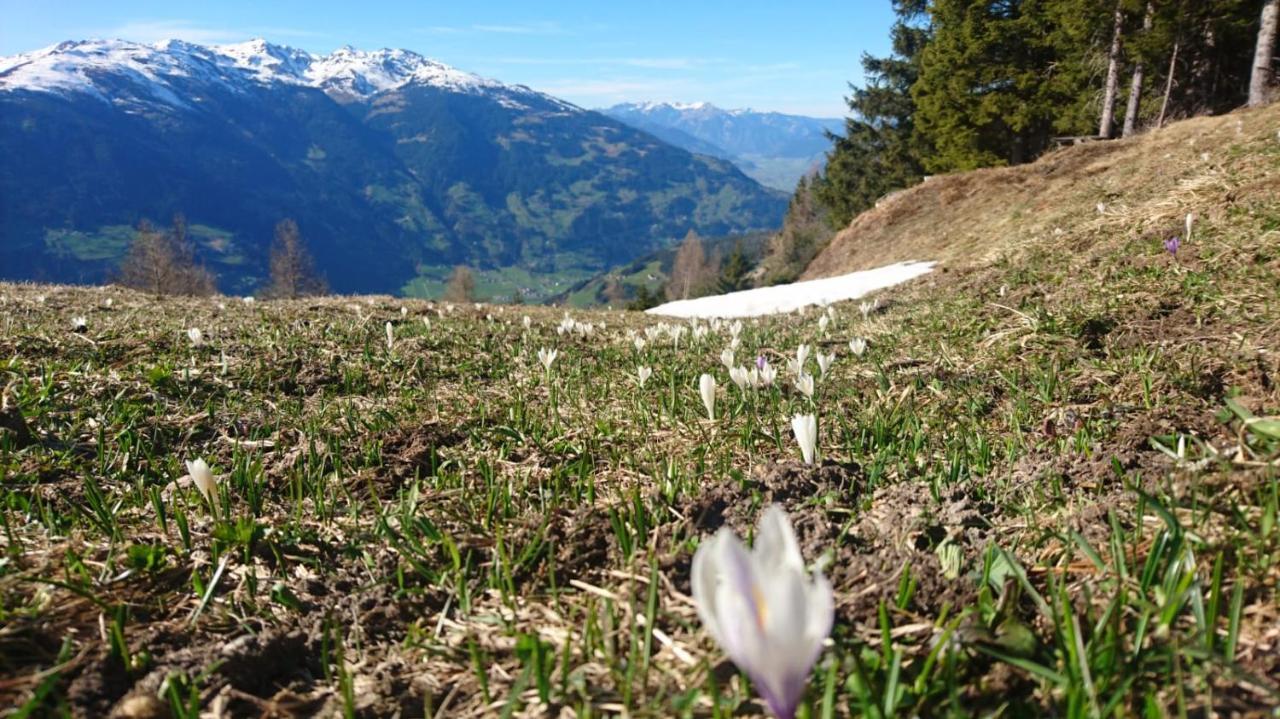 Hotel Haus Binder Ried im Zillertal Exterior foto